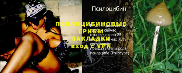 хмурый Абинск
